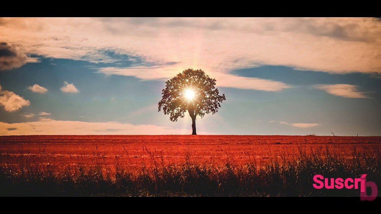 Música relajante - Piano