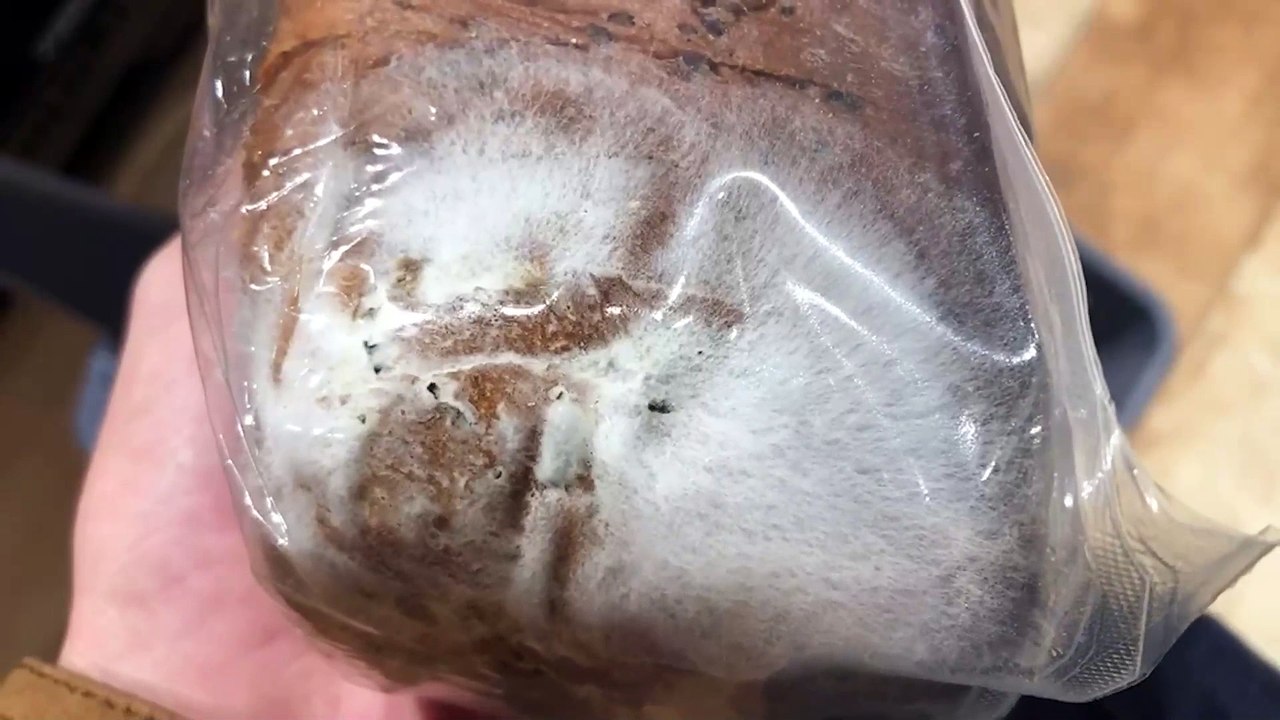 El pan cubierto de moho de Ametller Origen