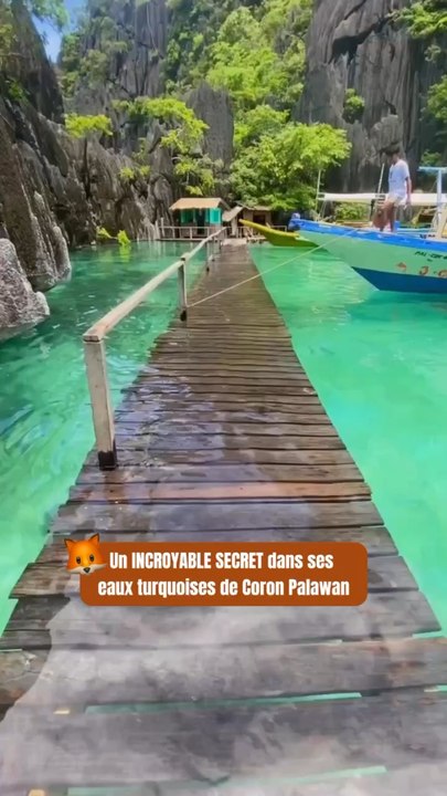 Coron, Palawan: A Tropical Paradise in the Philippines