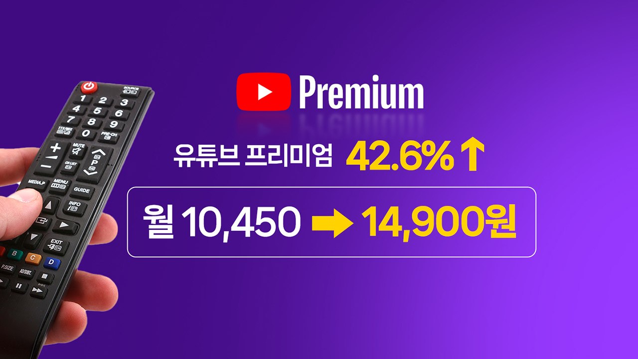 넷플릭스·유튜브 가격 인상에 '디지털 이민자'까지..."한국은 잡은 물고기?" [앵커리포트] / YTN