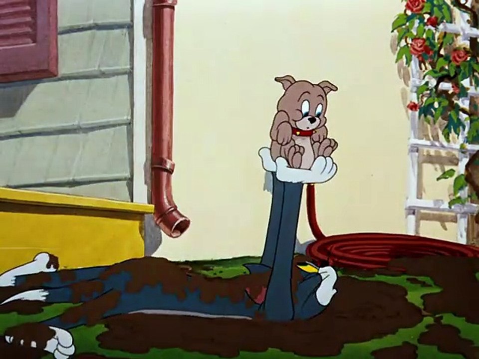 Tom & Jerry (1940) - S1950E14 - Slicked-Up Pup C)