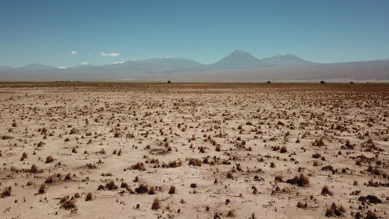 Le désert d'Atacama regorge de lagunes cristallines peuplées de bactéries