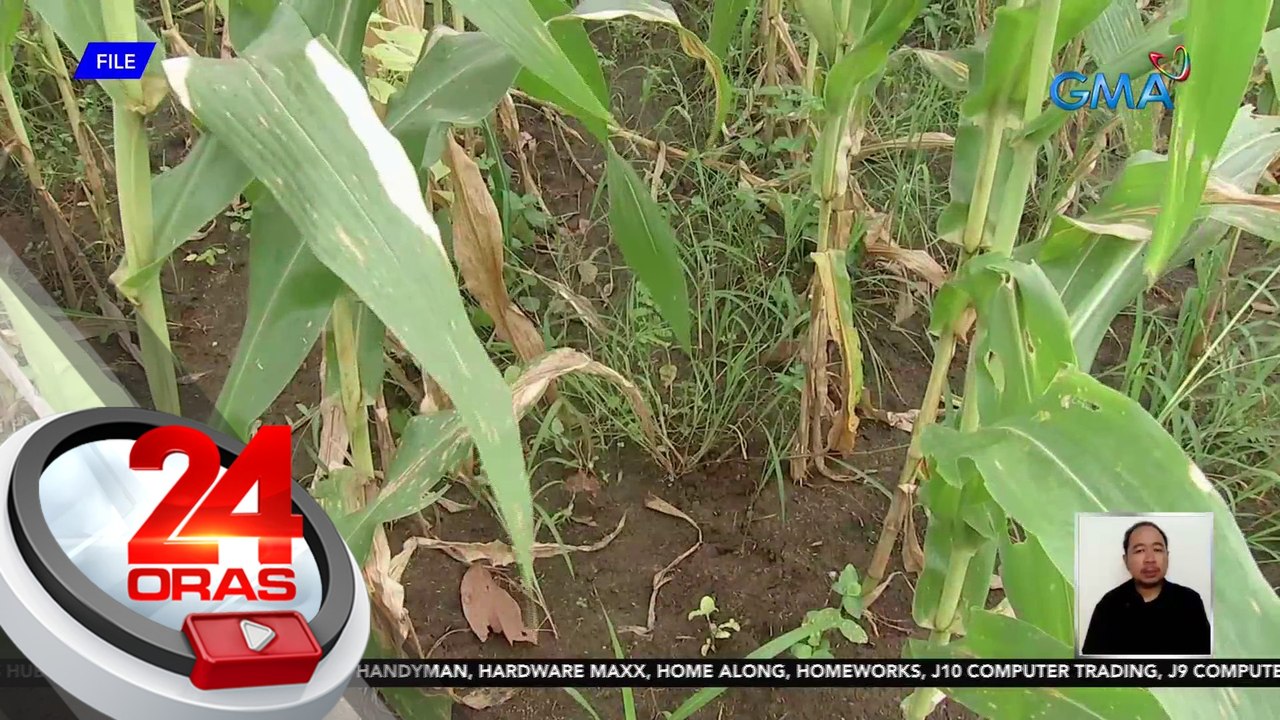 Iba pang proyektong pang-irigasyon, pinamamadali ng pangulo bago mag-Mayo | 24 Oras