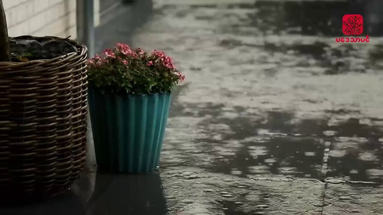 Relaxing Music With Rain Sounds Peaceful and Soothing