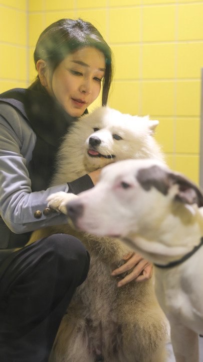 홍익표 "영부인 관심사라면서…與, 개식용 종식법 처리엔 불참"