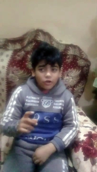 Learn to raise pigeons from scratch to professionalism explains pigeon breeding