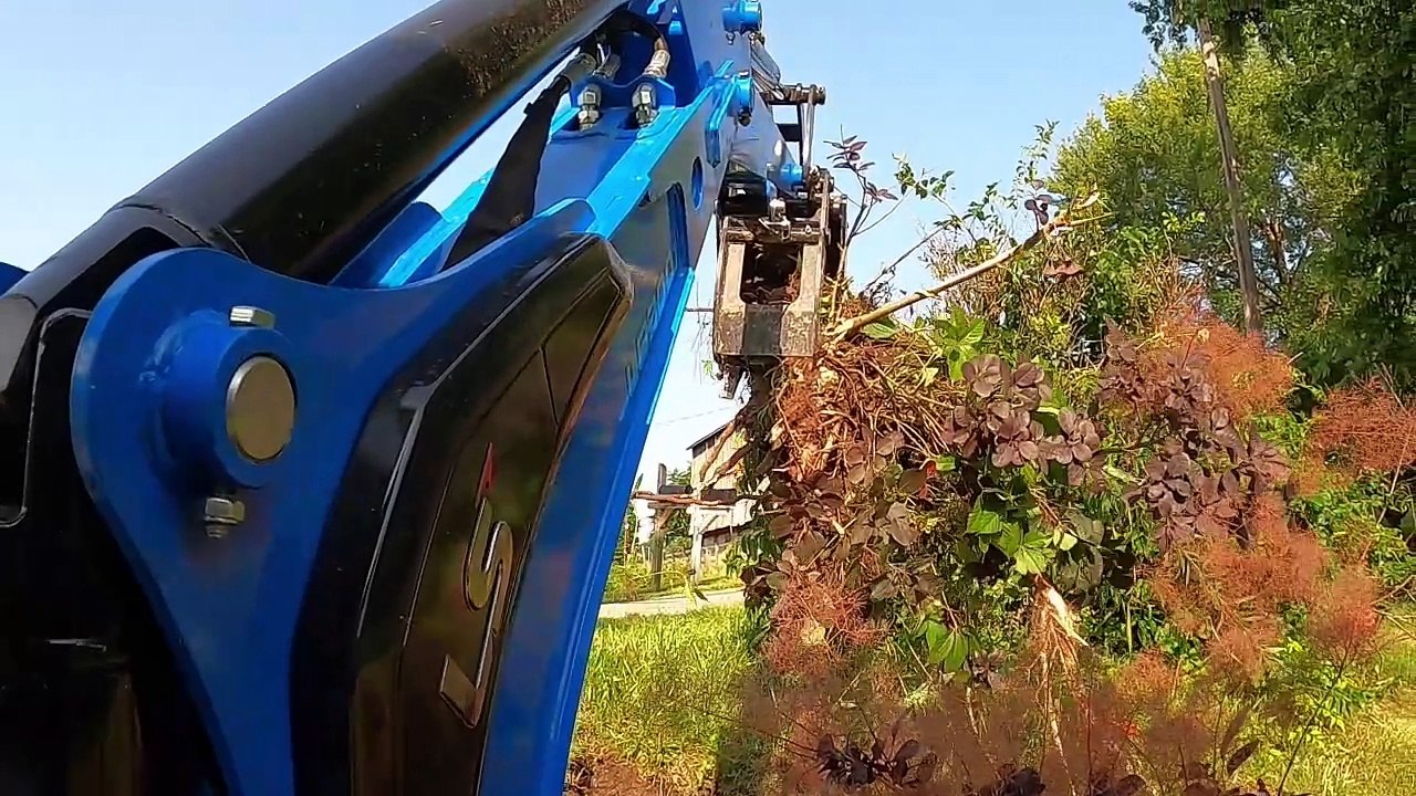 Ripping Out Bushes And Shrubs With The LS MT232