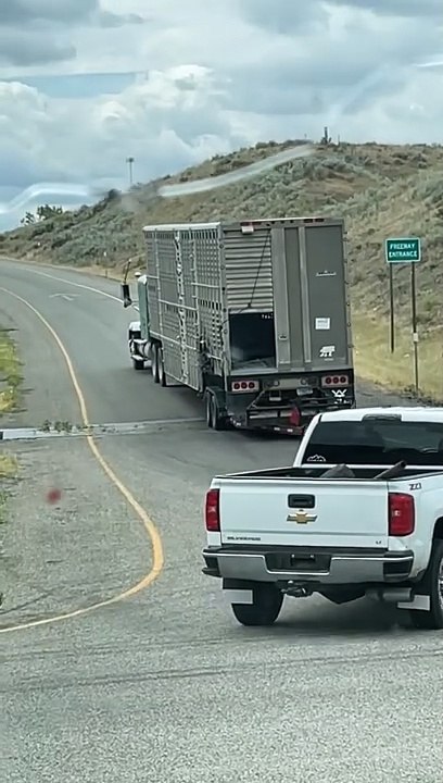 Creative Way to Transport a Broken Livestock Trailer