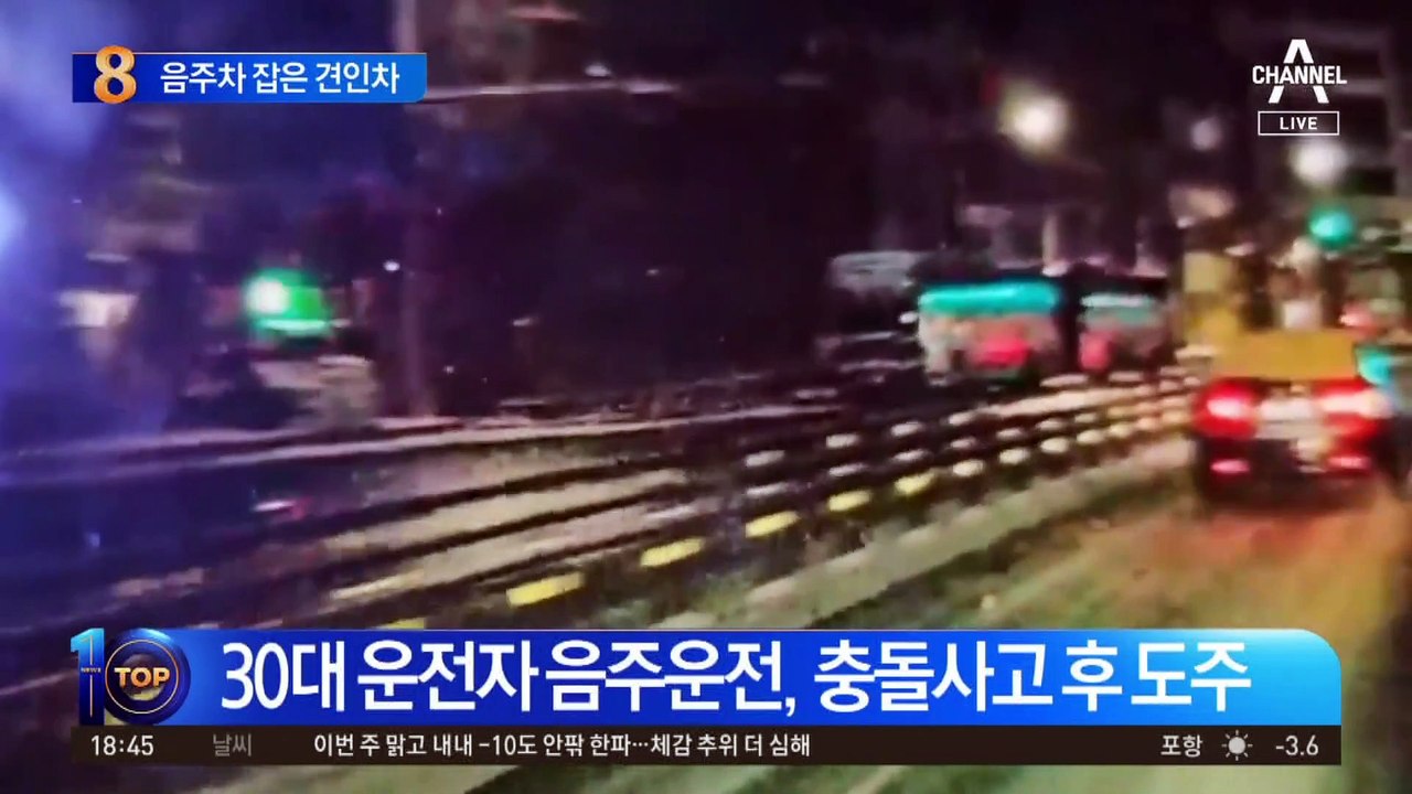 대전 만취차량 심야 도주극…견인기사가 붙잡아