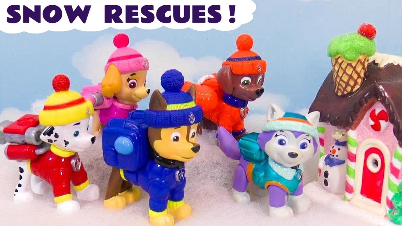 Mighty Pups Paw Patrol Rescues In The Snow Story