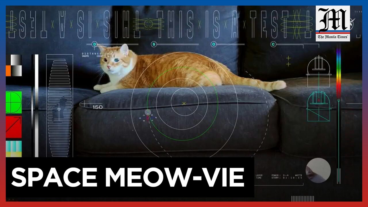 The feline frontier: NASA sends cat video from deep space