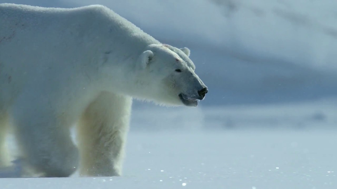 Exclusive Dubstep Glitch Video Editing Promo 🎥