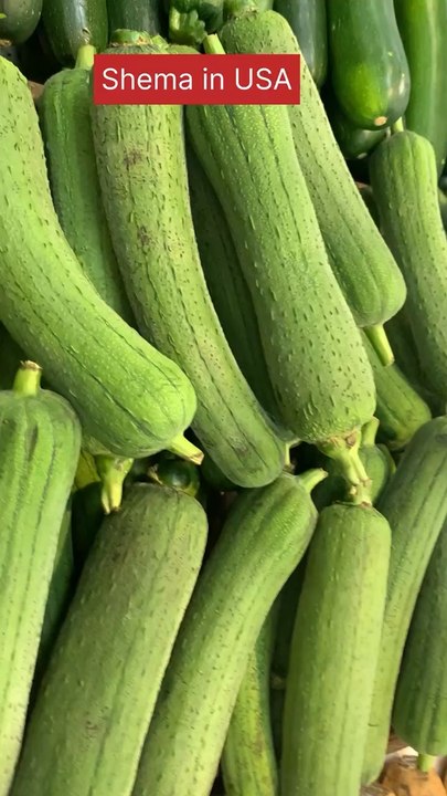 خضار صيني  غريب