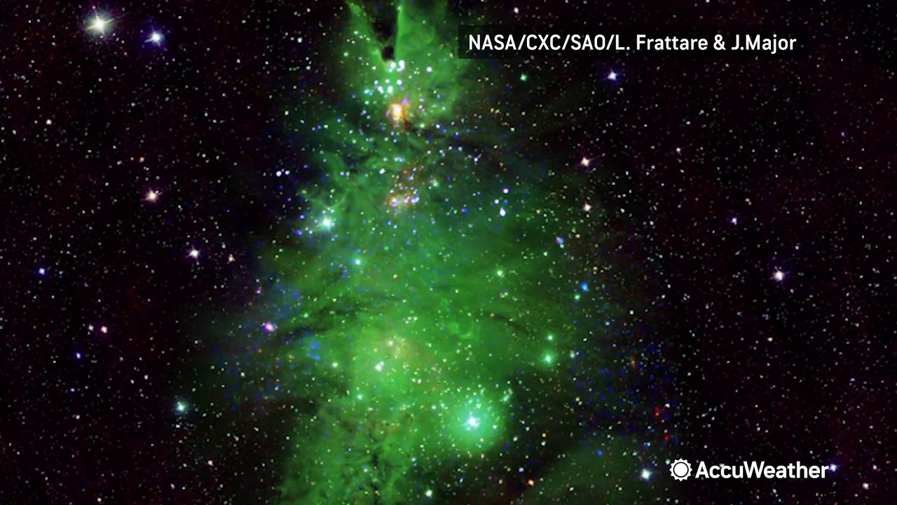 Cosmos brings holiday cheer with "Christmas Tree Cluster"