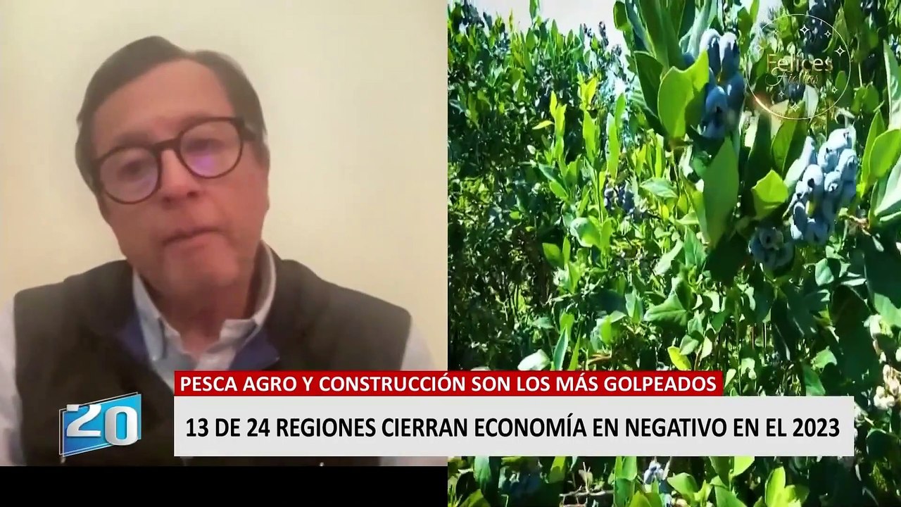 IPE: economía de 13 regiones del país cerrarán el año en números rojo