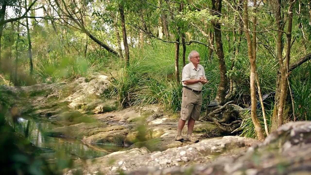 Yowie:  Mystery Of The Australian Bigfoot  [Full Documentary]