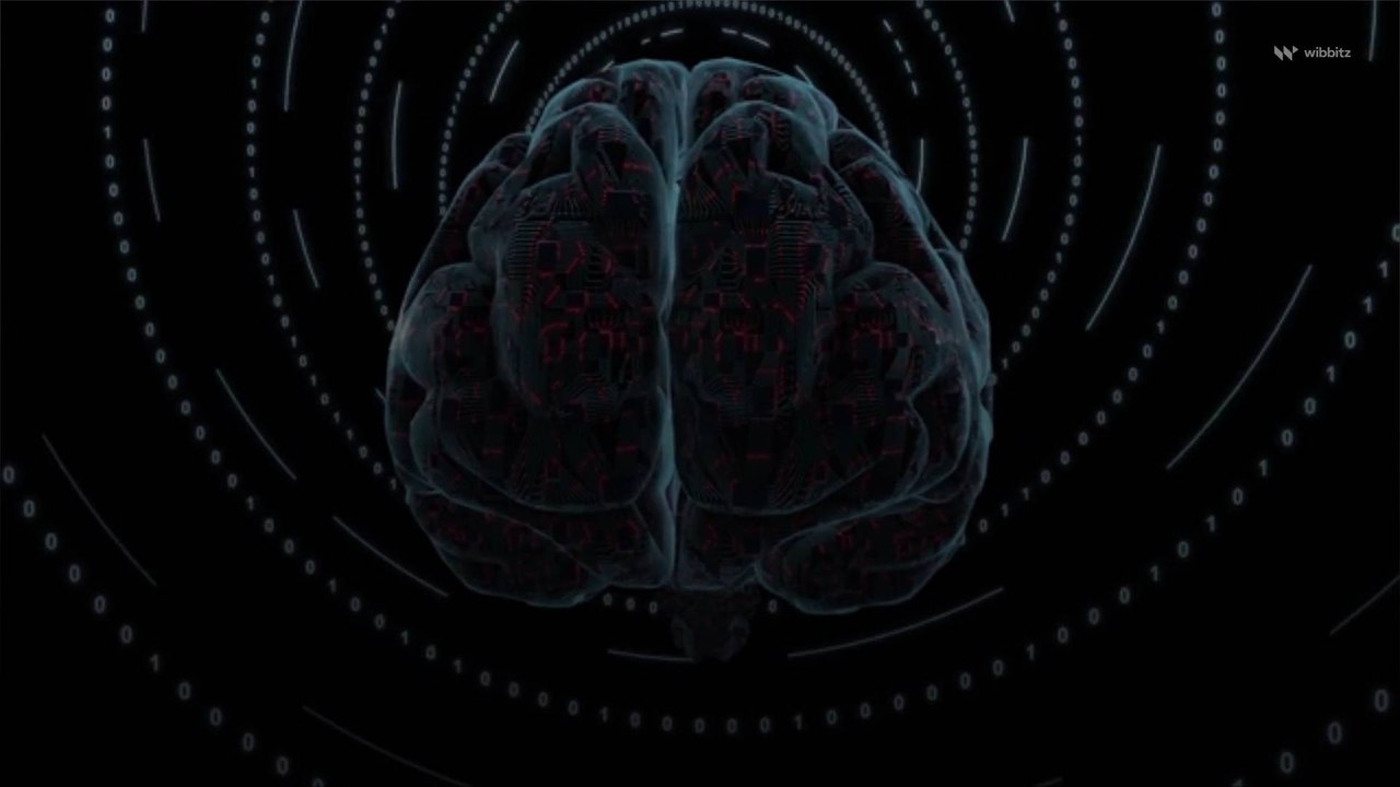 Researchers May Have Solved a Piece of the Human Brain's Energy Puzzle