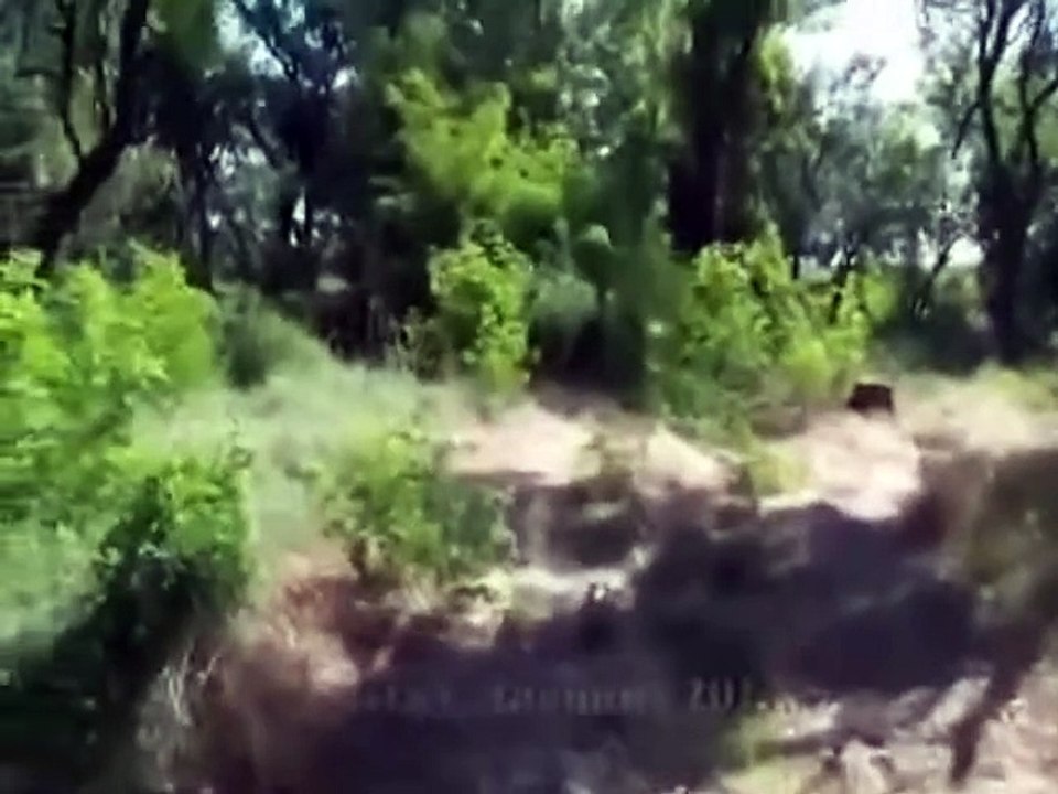 In Search of Aliens | movie | 2011 | Official Featurette