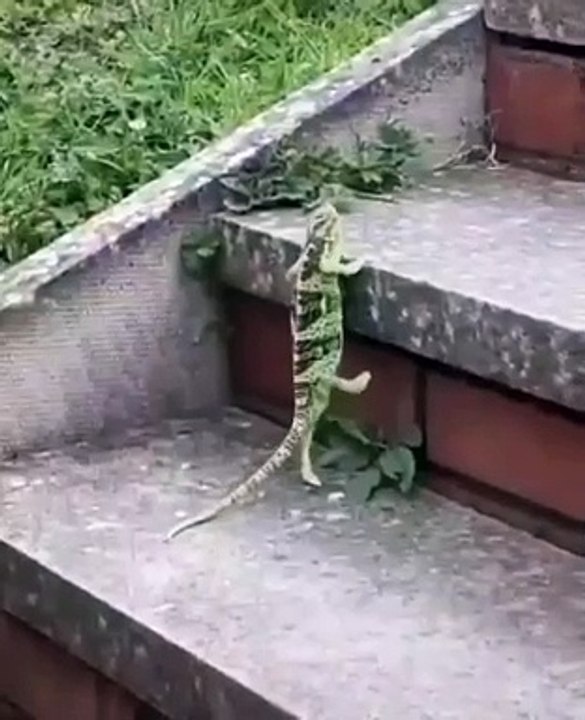 The main thing is not to give up!