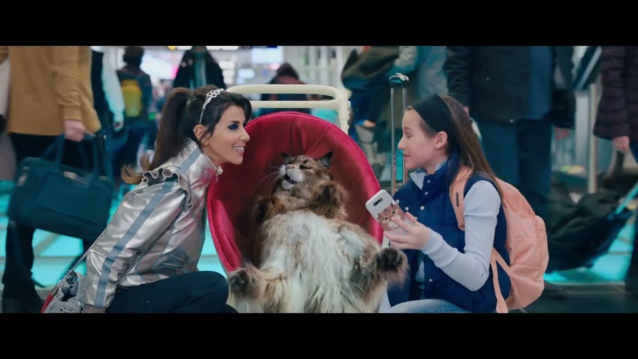 Chien et Chat - Bande-annonce #1 [VF|HD1080p]