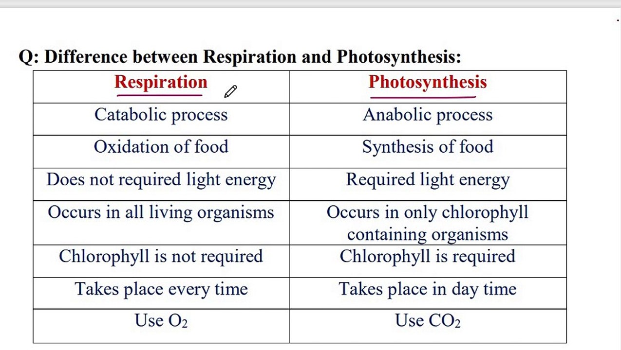 Differences between photosynthesis and respiration
