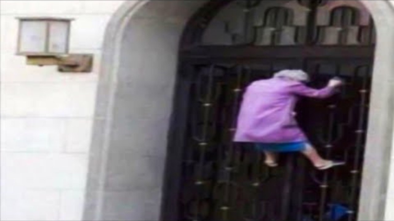 Try Not To Laugh - NEW Best Funny Meme Videos