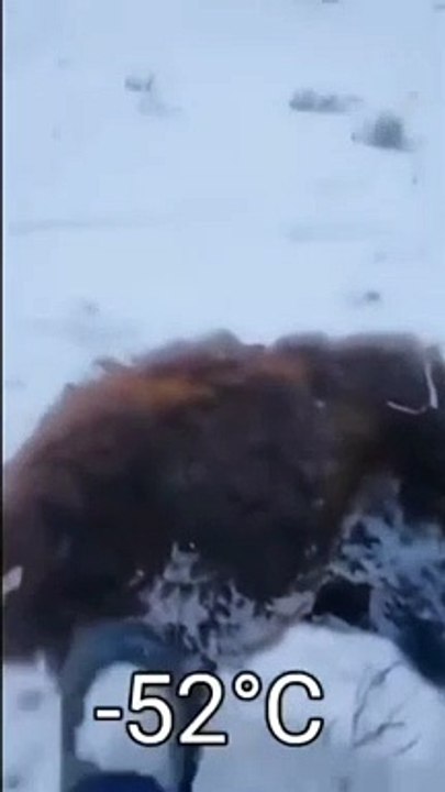 L'hiver au Kazakhstan... froid, très froid