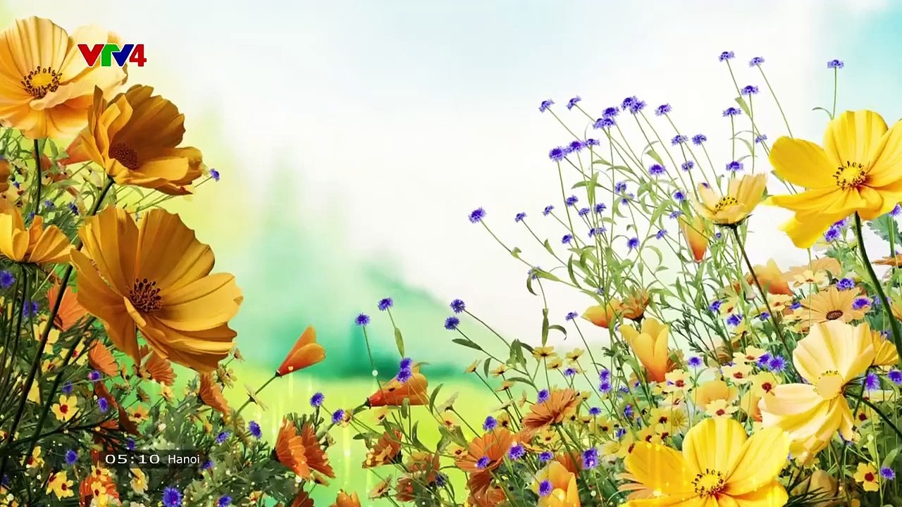 Vừa đi vừa khóc Tập 14