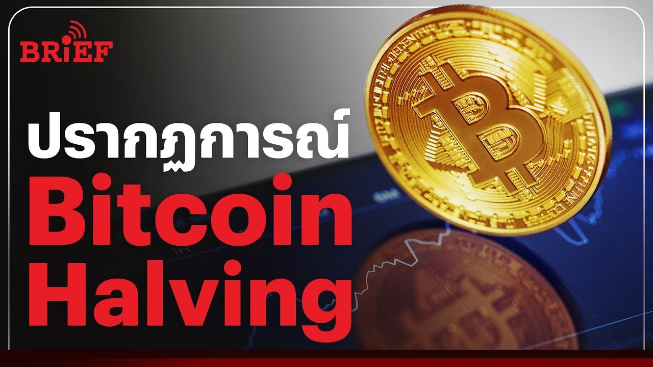 ปรากฏการณ์ที่นักลงทุนรอคอย | #beartaiBRIEFBitcoin Halving YT