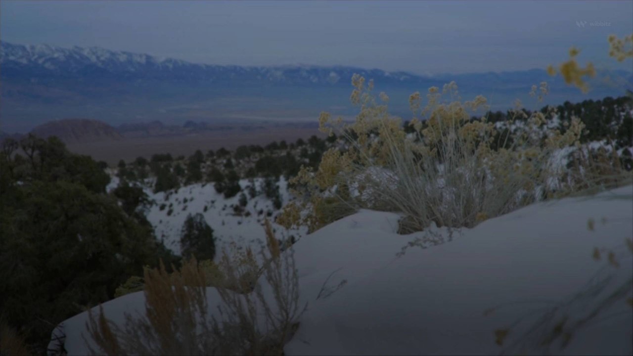 Storm Hits Southwest US With More Snow in One Day Than NYC Has Had Since 2022