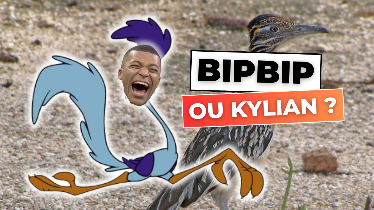  BIPBIP ou Kylian Mbappé ?