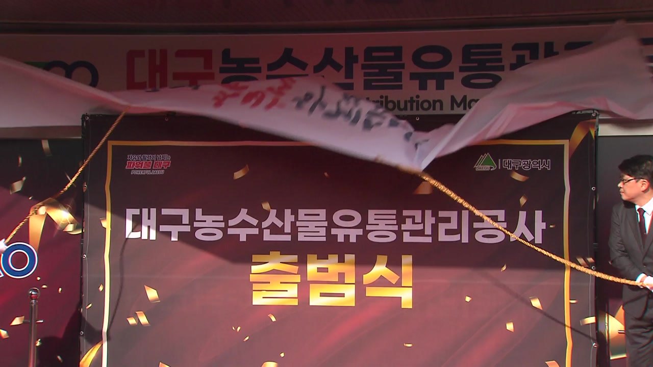 [대구] 대구 농수산물도매시장, 지방공기업으로 새 출발 / YTN