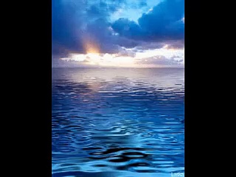 YSDJ - Aquatic Harmony (Album Version)