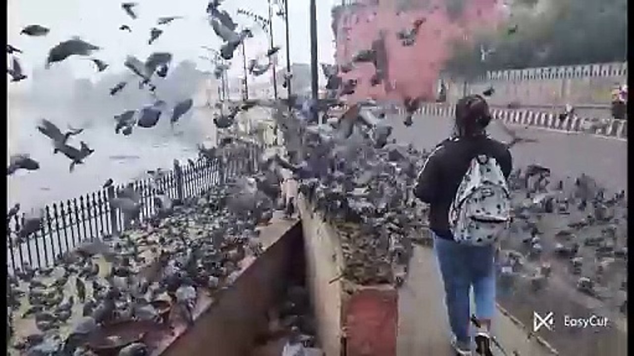 अगले तीन दिनों तक गम्भीर कोल्ड डे की स्थिति बनी रहेगी