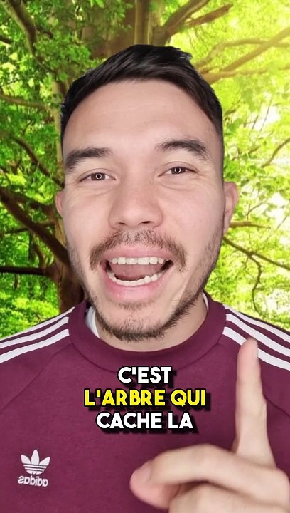 Airdrop Jupiter Crypto Solana