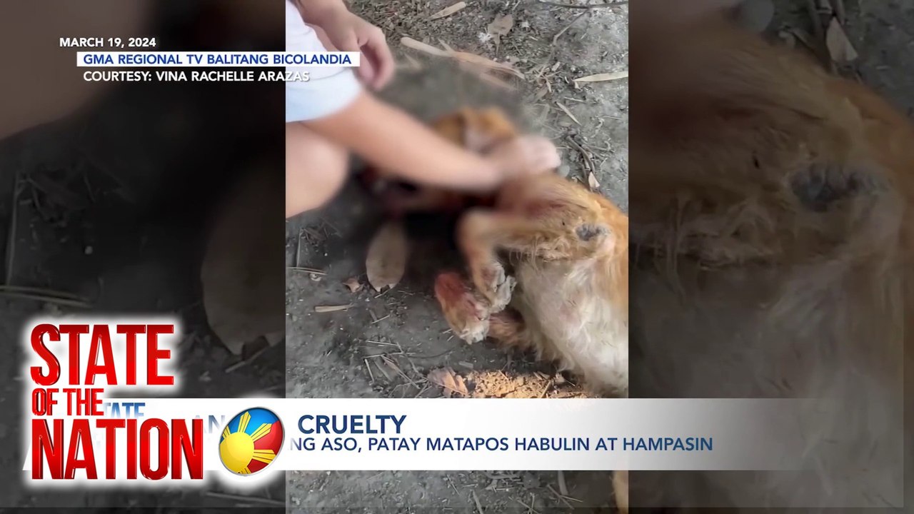 State of the Nation: 'ANIMAL CRUELTY'