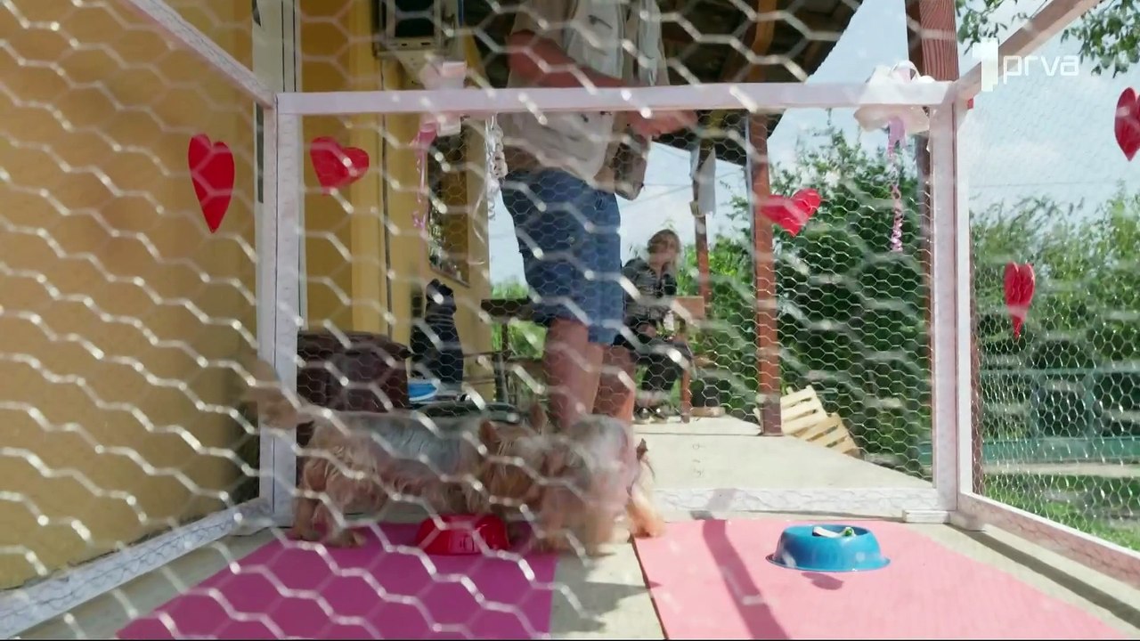 Popadija - Serijal 03 - Epizoda 03 - Domaca serija