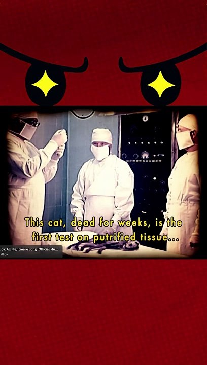 Les CRUELS EXPÉRIENCES RUSSES sur les ANIMAUX !