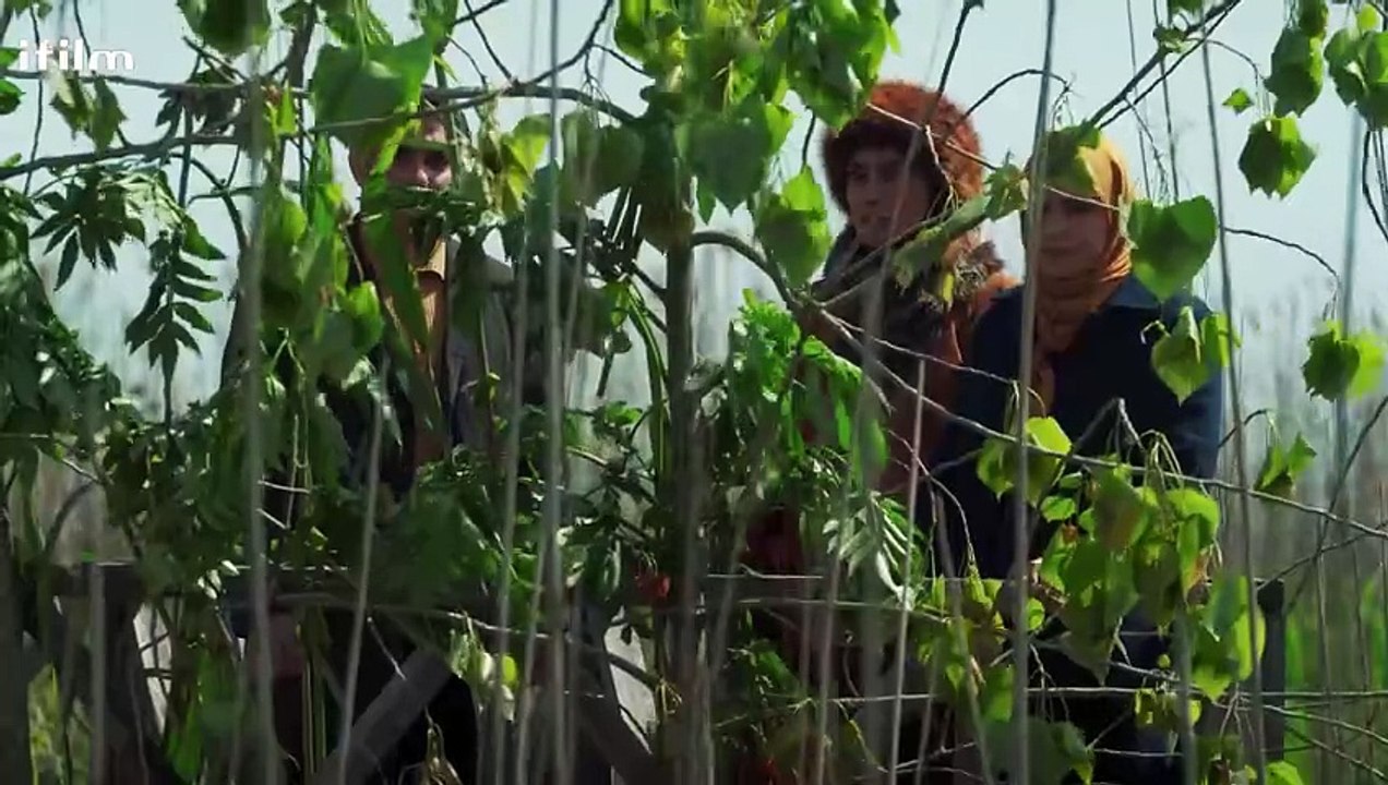 مسلسل "كوخ في الضباب" الحلقة 16