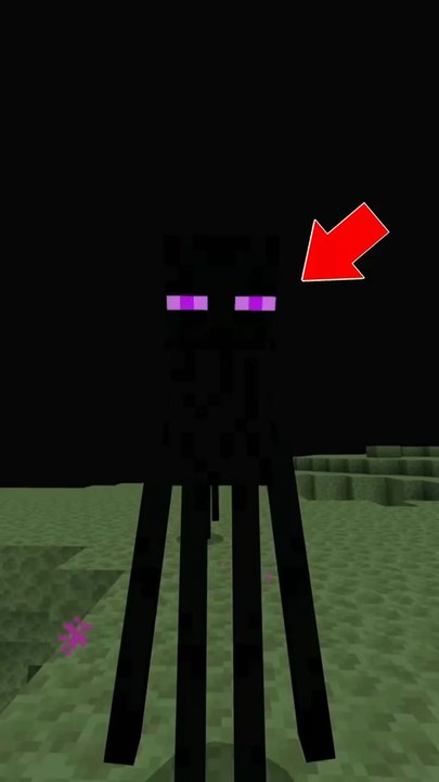 Le SECRET des ENDERMANS 