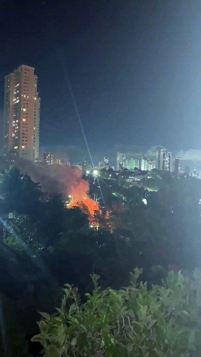 Incêndio atinge área de vegetação próxima de obra do BRT