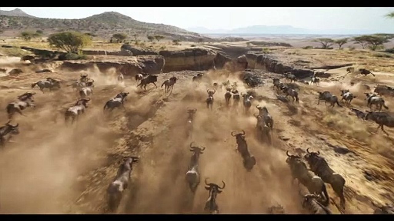 (هتلاقوا لينك الفيلم كامل مدبلج اسفل الفيديو في الوصف) كامل مدبلج ومترجمة عربيthe lion king  جميع أفلام الأسد الملك