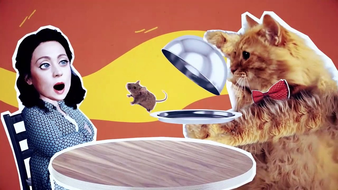 Котострофа - 3 серия