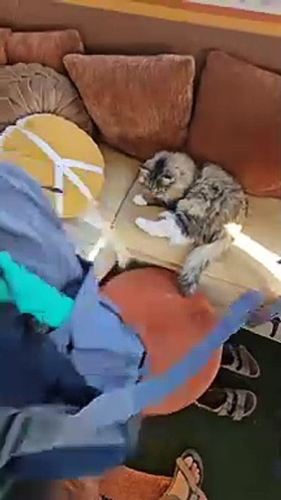 Non fa la doccia da sei settimane Sono felice e non puzzo