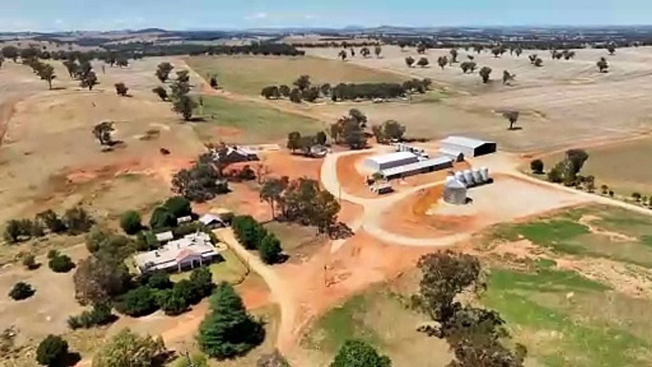 Holyrood & Elmslea, Burrumbuttock NSW | January 17, 2024 | Farmonline