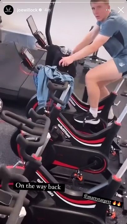 Joe Willock hints double Newcastle United injury boost