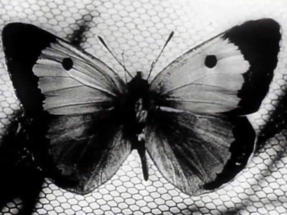 Great British Crime Drama 1950.