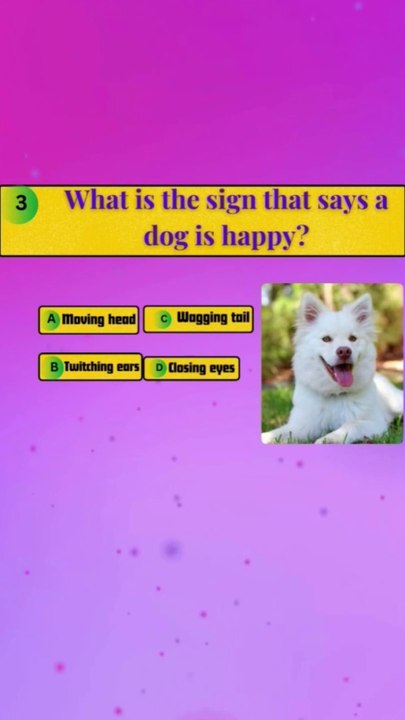 The ultimate animal Quiz: a Quiz for pet enthusiasts