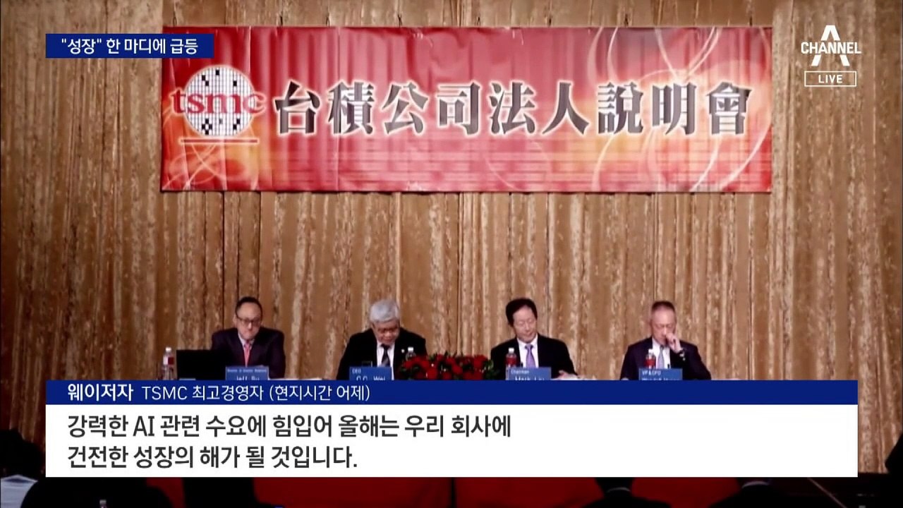 “20% 성장” TSMC CEO 한마디에…반도체주 급등