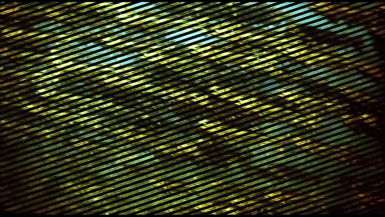 Animal Armageddon - Hell on Earth